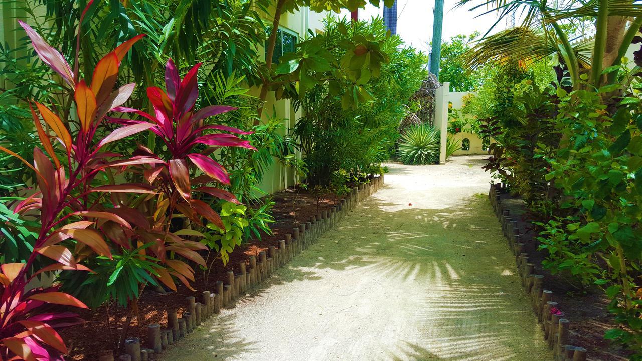Tres Cocos Resort San Pedro (Ambergris Caye) Exterior foto