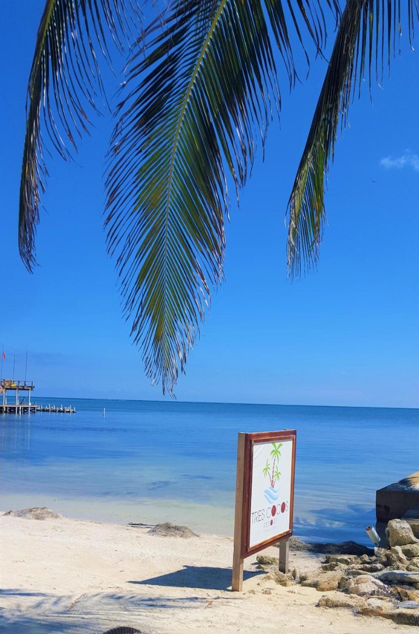 Tres Cocos Resort San Pedro (Ambergris Caye) Exterior foto